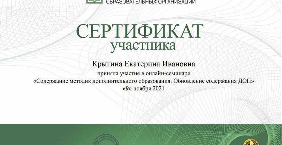 Начальник отдела доп.образования ЮУТУ на Всероссийских онлайн-семинарах по организации педагога ДО